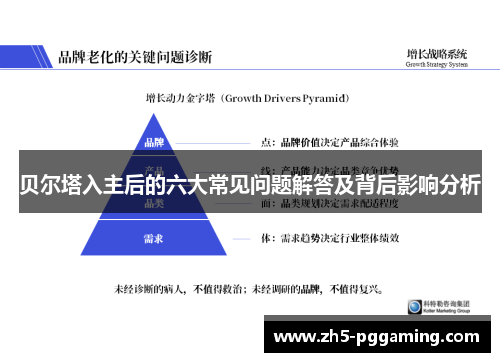 贝尔塔入主后的六大常见问题解答及背后影响分析