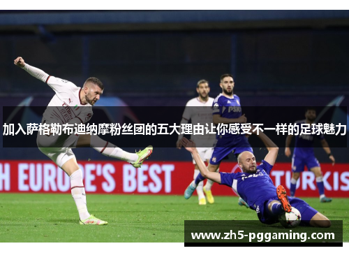 加入萨格勒布迪纳摩粉丝团的五大理由让你感受不一样的足球魅力