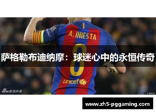 萨格勒布迪纳摩：球迷心中的永恒传奇