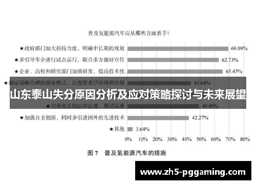 山东泰山失分原因分析及应对策略探讨与未来展望