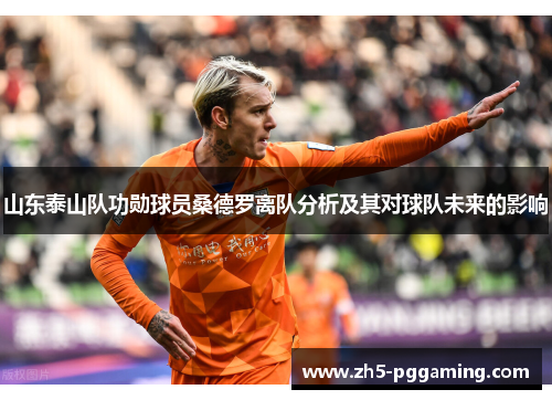 山东泰山队功勋球员桑德罗离队分析及其对球队未来的影响
