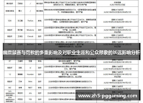 魏震禁赛与罚款的多重影响及对职业生涯和公众形象的长远影响分析