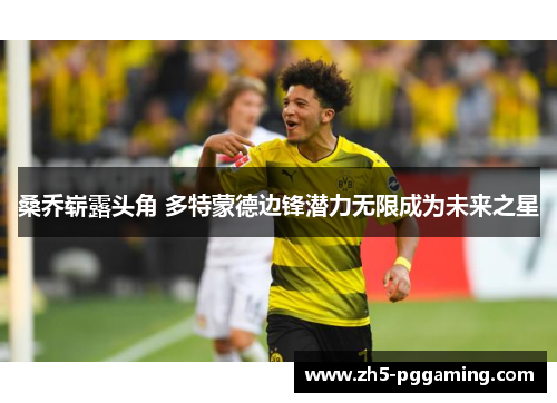 桑乔崭露头角 多特蒙德边锋潜力无限成为未来之星